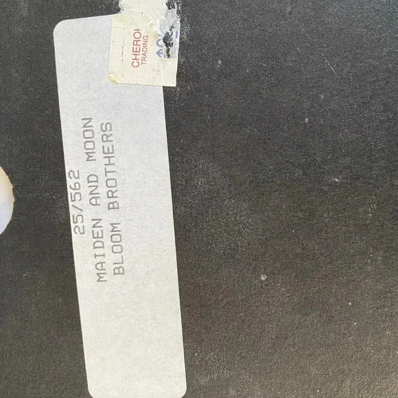 Rare VTG Judy Mastrangelo Foil Art Print Maiden & Moon Framed 8x10" Native Girl - Picture 9 of 10